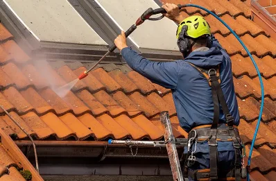 Démoussage et hydrofuge de toiture à Pierreval
